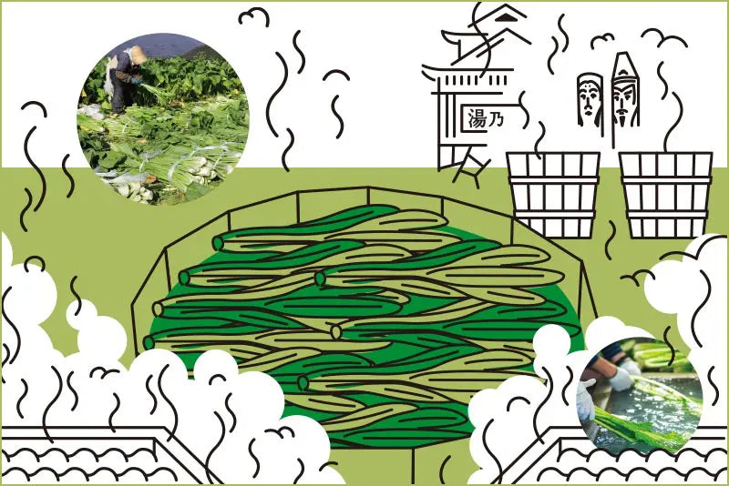 信州の冬の必需品 こたつ、日本茶、野沢菜漬け！ | 銀座NAGANO