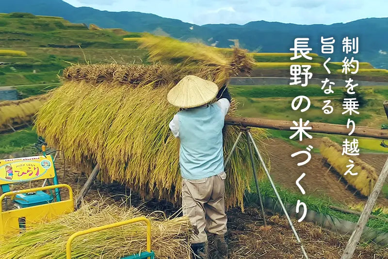制約を乗り越え旨くなる長野の米づくり(WEB限定記事) - 銀座NAGANO