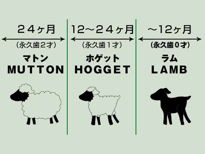 ジンギスワインな夜 ~信州新町を食す~