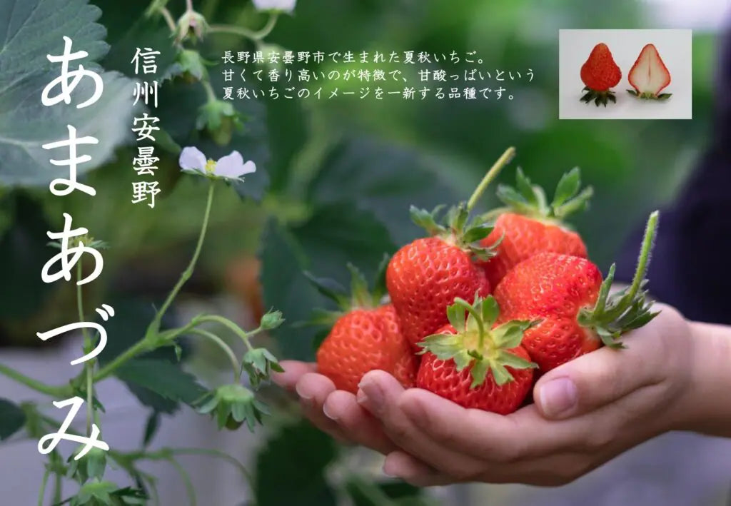 新宿高野コラボイベント】2025年本格デビュー！ 安曇野生まれのイチゴ