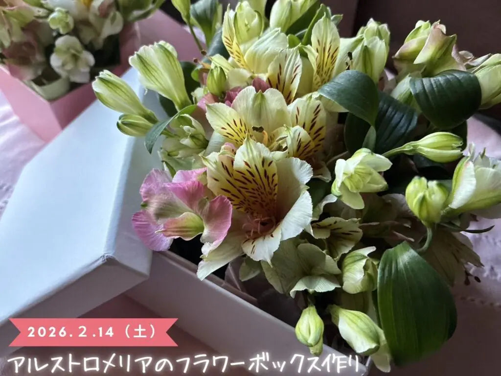 フラワーバレンタイン】“アルストロメリア”のフラワーボックス作り