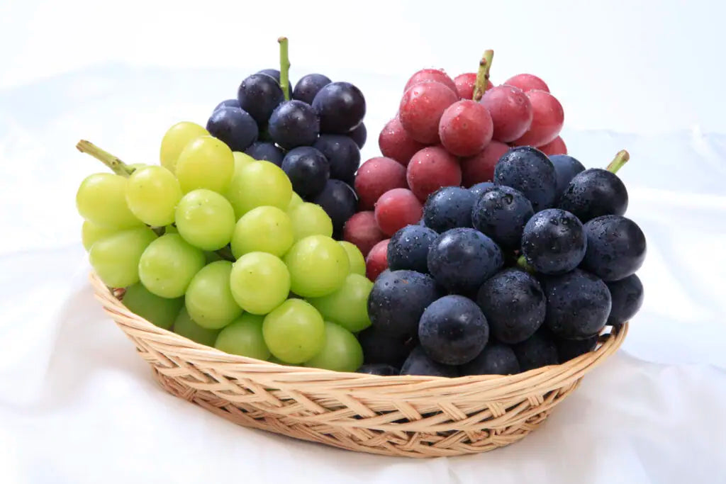 信州生坂村 ふるさとの味届けます!!