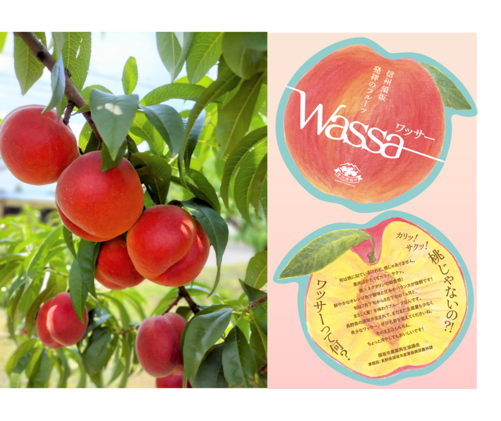 dbc4aa4acbffa249faefa83e88c132