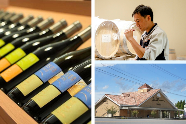 【3月7日(土)】テイスティングスペースジャック　～サンサンワイナリー～