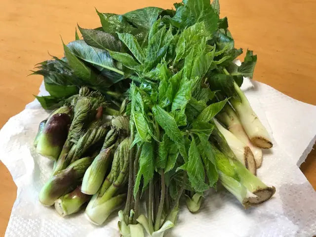 信州「おこびれ」講座。小腹を満たす、信州のおやつ　～山菜たっぷりのおやき＆おこわ～