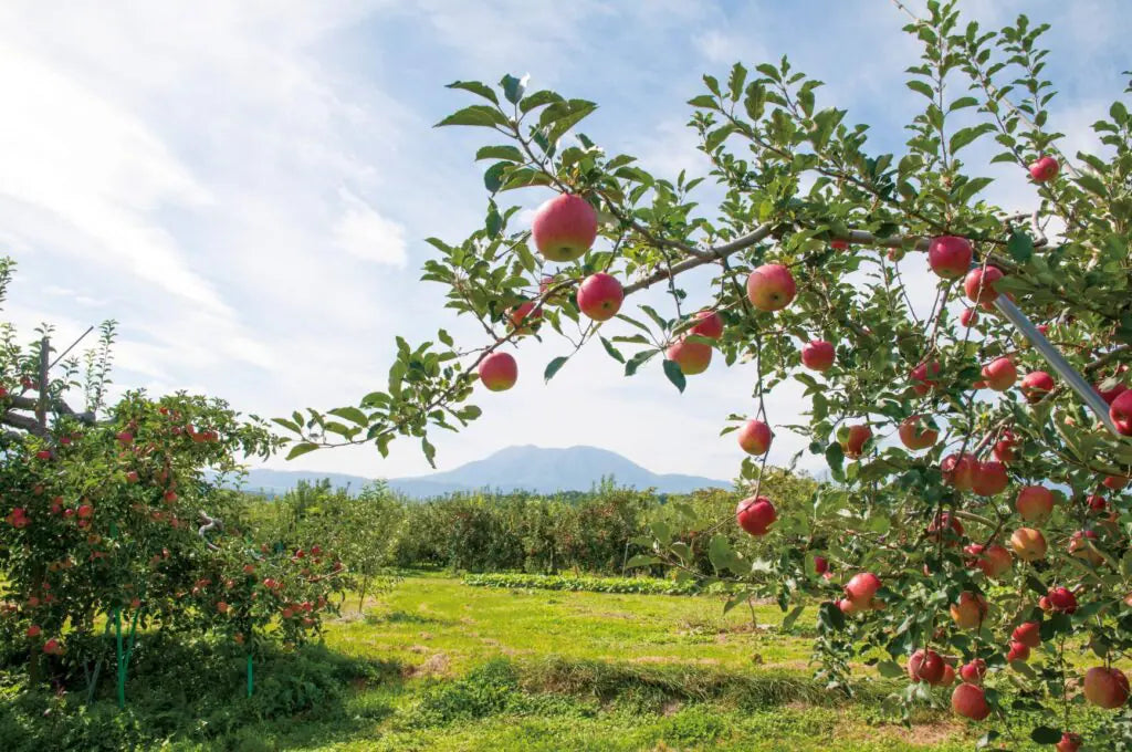 【新宿高野コラボイベント】飯綱町産りんごの特別メニューを楽しむ