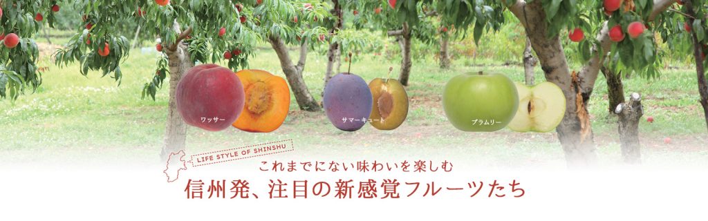 Lifestyle of Shinshu 信州発、注目の新感覚フルーツたち