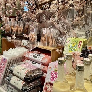 🌸桜🌸商品続々入荷中！