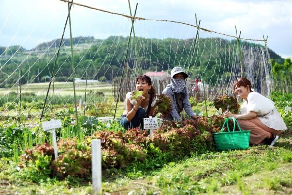Satoyama villla Den敷地内の水田や畑では、昔ながらの農業を体験も可能。